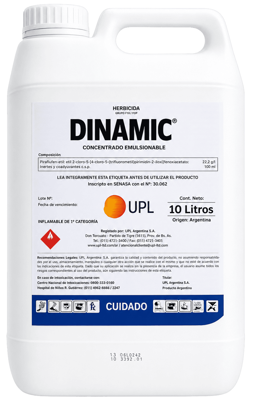 DINAMIC